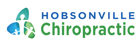 Hobsonville Chiropractor logo